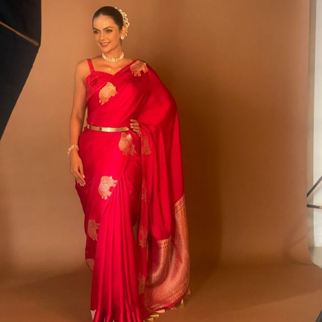 Saree Draping For Influencer